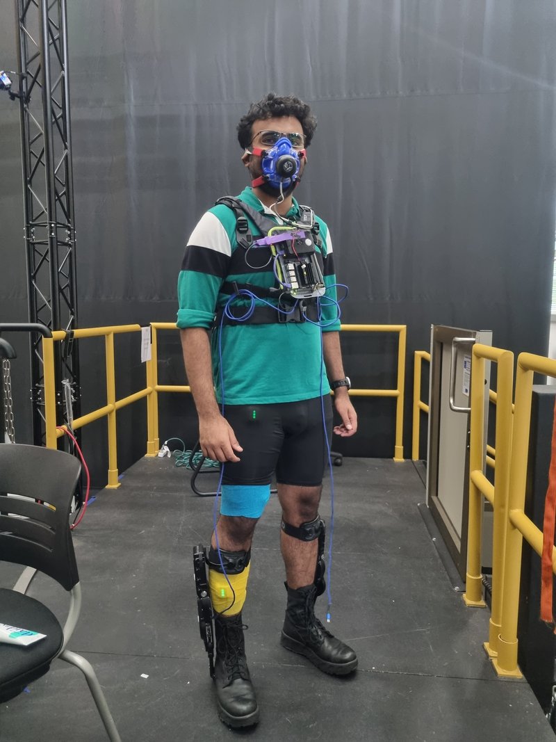 Ankle exoskeleton
