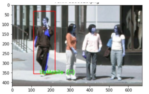 Pedestrian using mobile phone